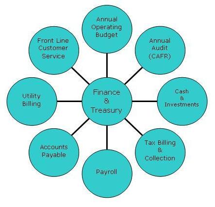 finance diagram treasury functions departments members michigan taxes treasurer staff account